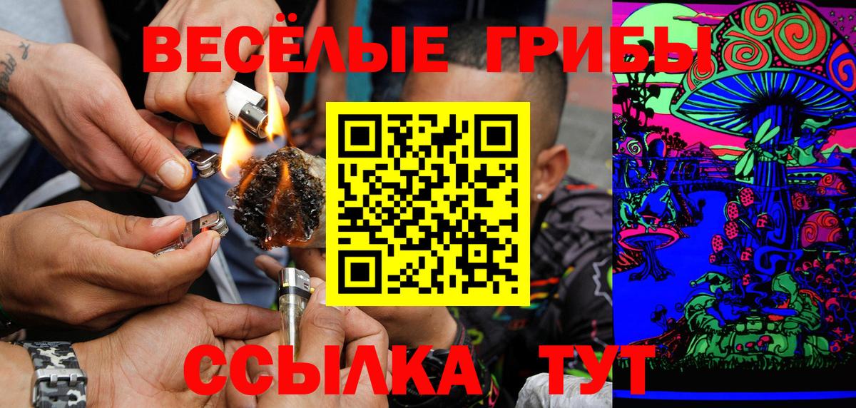 Псилоцибиновые грибы GOLDEN TEACHER  Галлюциногенные грибы Psilocybine cubensis  Вход с VPN  Домодедово 